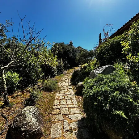 Vakantiehuis Pioppa For 4 Porto-Vecchio (Corsica)