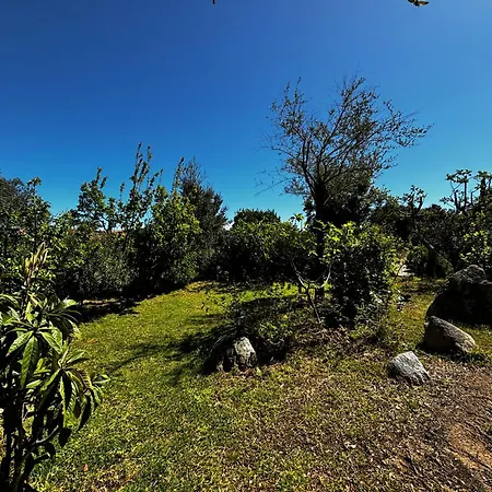 Pioppa For 4 Holiday home