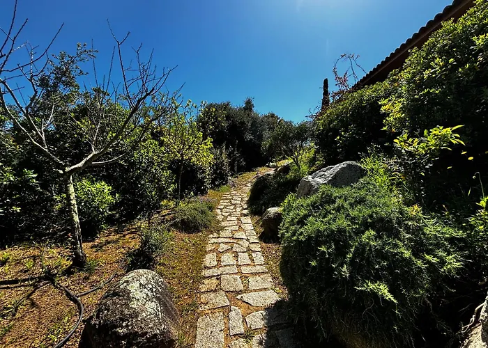 Holiday home Pioppa For 4 Porto-Vecchio (Corsica)