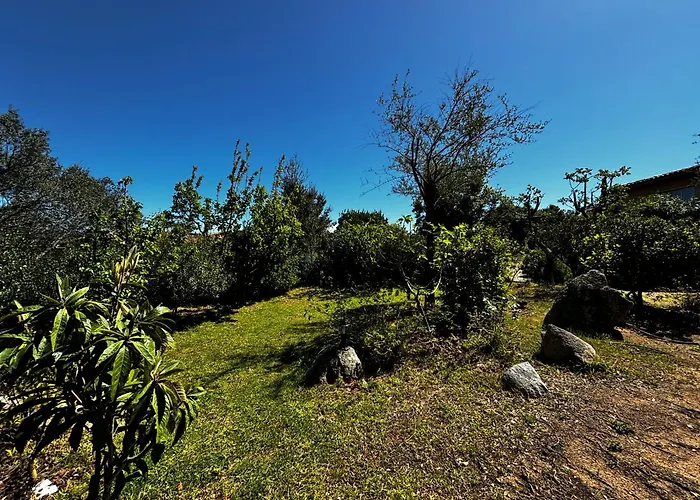 Pioppa For 4 Holiday home